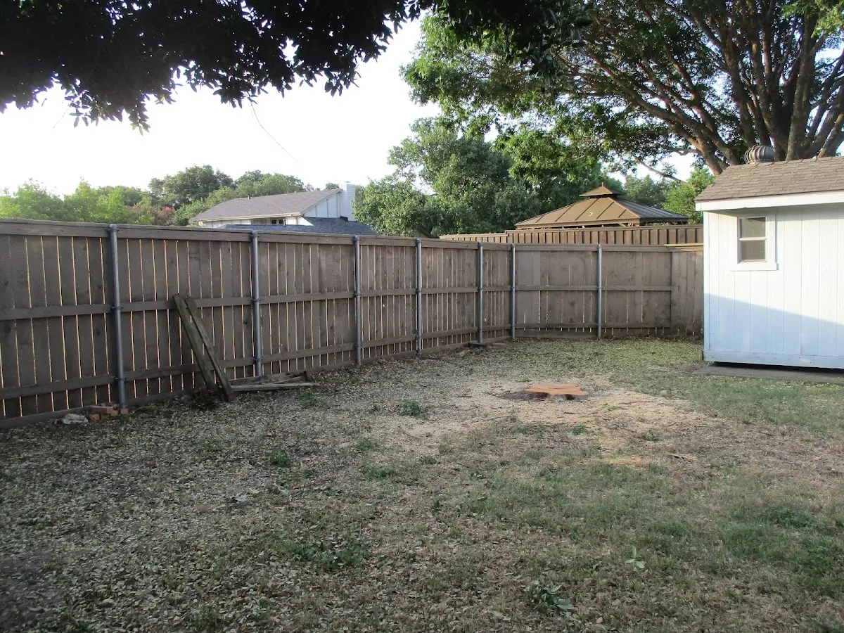 Cleared yard after professional tree removal in Mumford